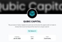 Qubic Capital: The Passive Income