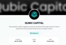 Qubic Capital: The Passive Income