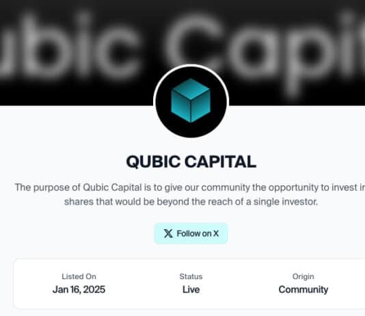 Qubic Capital: The Passive Income