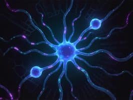 Rethinking AI: How Qubic Is Building the Future of Intelligence