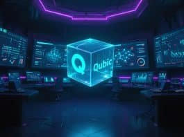 Steering committee bi‑weekly update