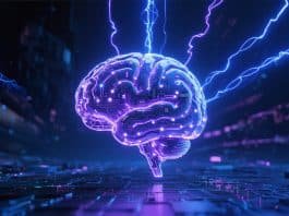 What is the main goal of a natural neural network?